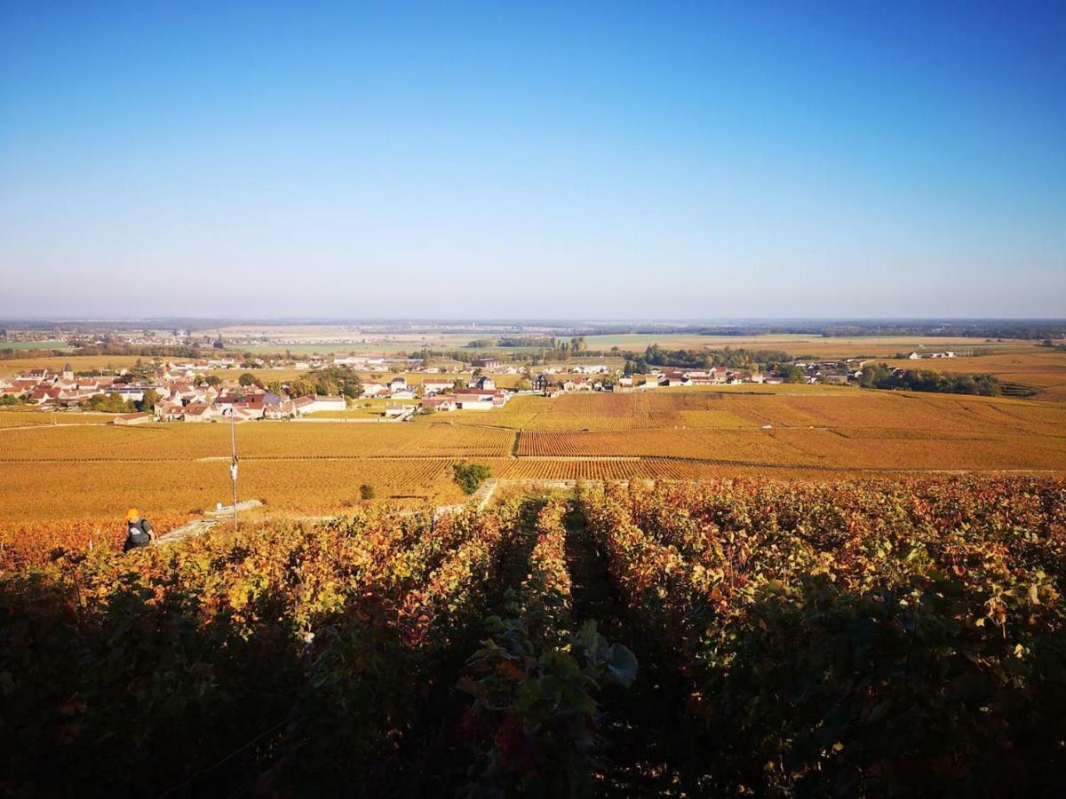 Willa La Layotte Vosne-Romanée Zewnętrze zdjęcie